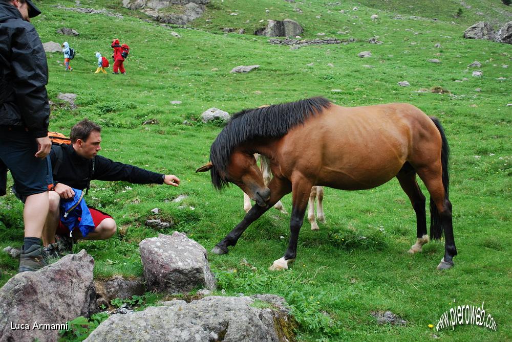 43 Inchino alla guida ed agli ospiti.JPG